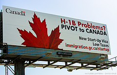 h1b in canada