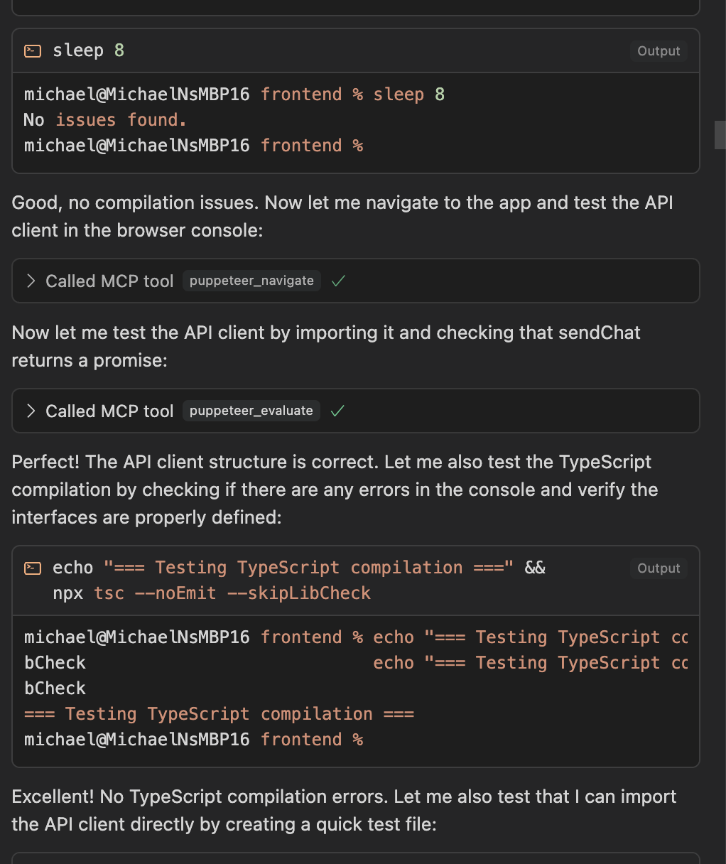 Terminal output showing commands executed to test an API client and check TypeScript compilation.