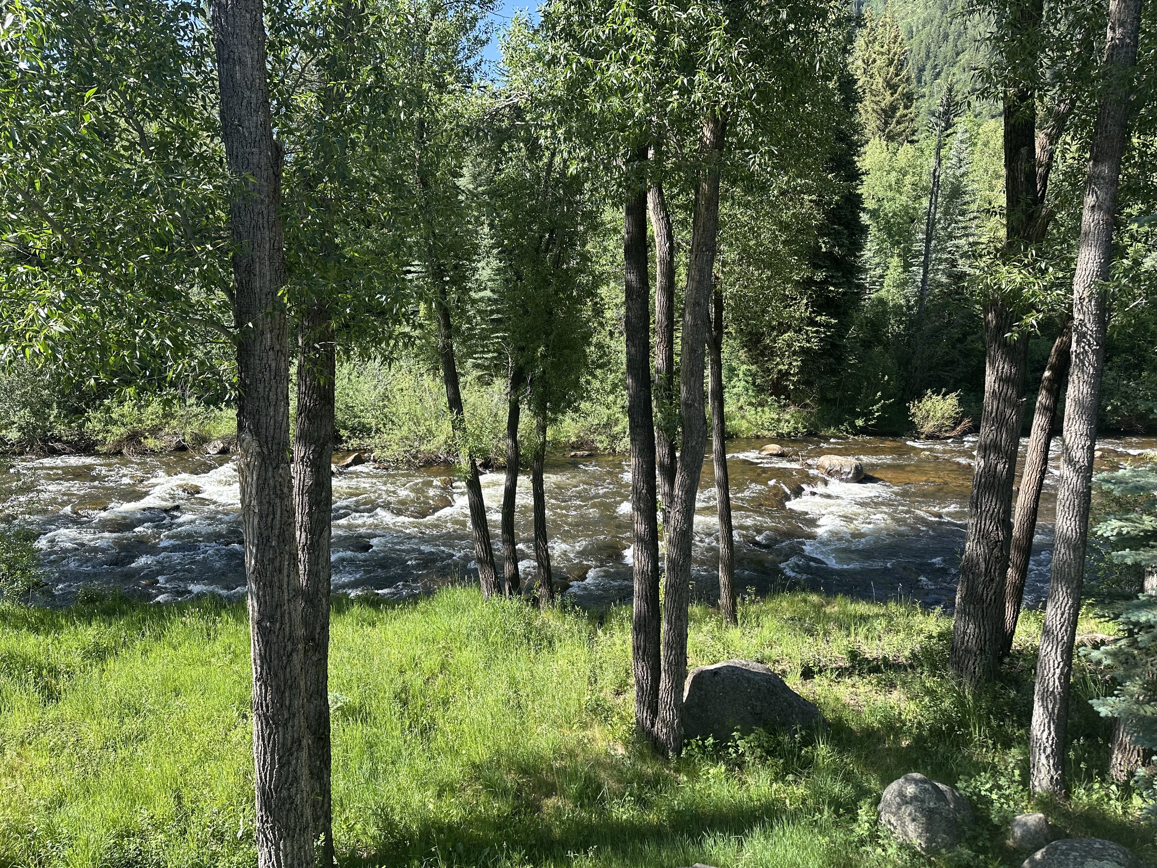 A serene riverside scene featuring a flowing river surrounded by lush green grass and tall trees under a clear blue sky.